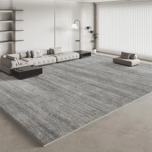 Minimalist Carpets for Living Room